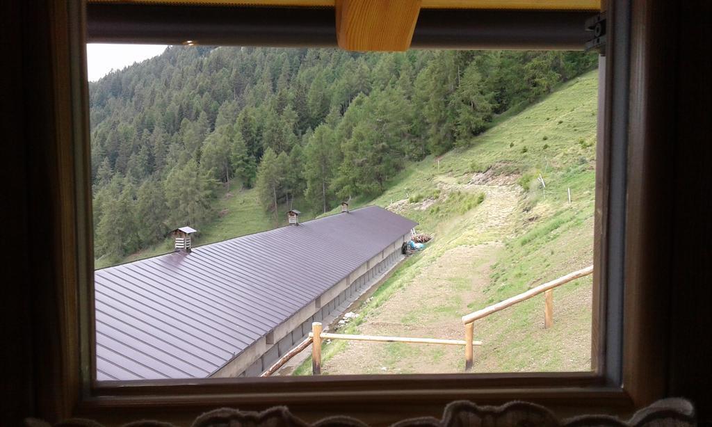 Restor Natura Malga Mondent Hotel Pracorno di Rabbi Exterior photo